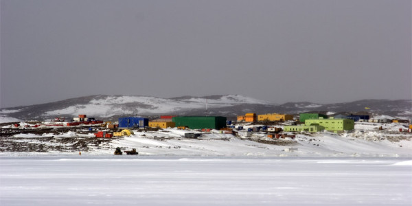 antarctica microgri